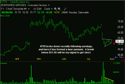 Bear Pennant Pattern